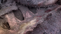 Lost Monster Files S01E05 720p HEVC x265-MeGusta EZTV