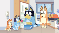 Bluey S03E40 1080p HEVC x265-MeGusta EZTV