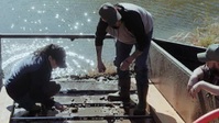 Lost Gold of the Aztecs S01E03 XviD-AFG EZTV Lost Gold of the Aztecs S01E03 XviD-AFG EZTV
