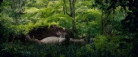 Okja (2017) [2160p] [4K] [WEBRip] [5 1] [YTS] [YIFY]