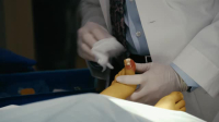 Chicago Med S09E12 XviD-AFG EZTV Chicago Med S09E12 XviD-AFG EZTV