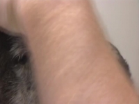 Animal House S06E04 480p x264-mSD [eztv]