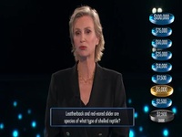 Weakest Link 2020 S02E08 480p x264-mSD EZTV Weakest Link 2020 S02E08 480p x264-mSD EZTV