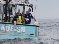 Wicked Tuna S12E14 480p x264-mSD EZTV