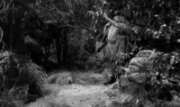 Jungle Fighters (1961) [1080p] [BluRay] [2 0] [YTS] [YIFY]