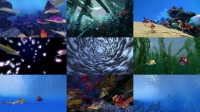 Kaluoka hina The Enchanted Reef 2004 720p BluRay x264-RUSTED