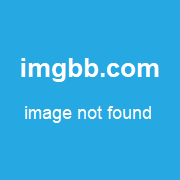 The Picture - November 5, 2018 AU The Picture - November 5, 2018 AU