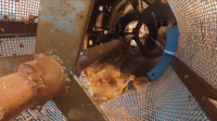 Aussie Gold Hunters S09E18 720p HEVC x265-MeGusta EZTV