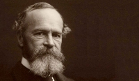 William James - Philosophical Works and Letters (17 books)