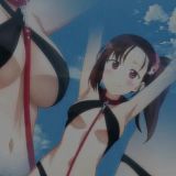 Murenase! Seton Gakuen - 12 (480p)-HorribleSubs[TGx]