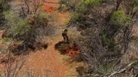 Aussie Gold Hunters S06E14 720p HEVC x265-MeGusta EZTV