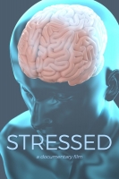 Stressed 2019 720p AMZN WEBRip 800MB x264-GalaxyRG