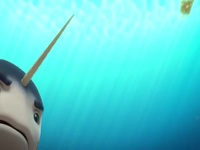 Not Quite Narwhal S01E26 480p x264-mSD EZTV