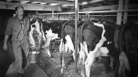 The Incredible Pol Farm S01E07 XviD-AFG EZTV