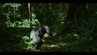 Chimp Empire S01E02 XviD-AFG EZTV