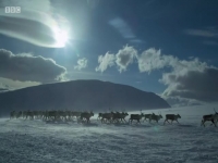 Stormborn S01E01 480p x264-mSD EZTV