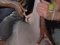 Evolve S01E03 480p x264-mSD EZTV