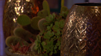 The Bachelor S28E05 720p HEVC x265-MeGusta EZTV