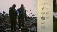 Chefs vs Wild S01E02 XviD-AFG EZTV