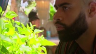 Bachelor In Paradise S08E11 720p HEVC x265-MeGusta EZTV Bachelor In Paradise S08E11 720p HEVC x265-MeGusta EZTV