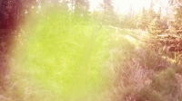Nature Gone Wild S01E09 WEB h264-BAE EZTV Nature Gone Wild S01E09 WEB h264-BAE EZTV
