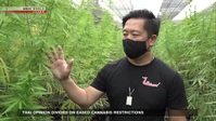 Newsroom Tokyo 2022 12 15 XviD-AFG EZTV