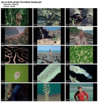 Life on Earth (BBC, 1979) (1280x720p HD, 50fps, soft Eng subs)