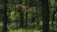 Reservation Dogs S01E06 1080p HEVC x265-MeGusta EZTV Reservation Dogs S01E06 1080p HEVC x265-MeGusta EZTV