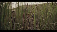 The Invisible Girl S01E08 XviD-AFG EZTV The Invisible Girl S01E08 XviD-AFG EZTV