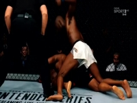 UFC on ESPN 01 480p x264-mSD [eztv]