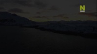 Genius Sea Hunters S01E01 XviD-AFG EZTV Genius Sea Hunters S01E01 XviD-AFG EZTV