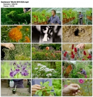 Gardeners' World 2019 E23 (1280x720p HD, 50fps, soft Eng subs)
