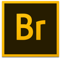 Adobe Bridge 2020 v10.0.2 + Patch (macOS) - [haxNode]