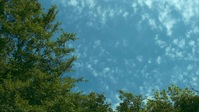 Reservation Dogs S02E08 720p WEB H264-GGEZ EZTV