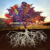 Robert Plant - Digging Deep : Subterranea (2020) Mp3 320kbps [PMEDIA] ️
