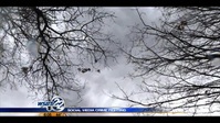 Web of Death S01E05 XviD-AFG EZTV Web of Death S01E05 XviD-AFG EZTV