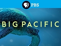Big Pacific S01 1080p BluRay x264-SPRiNTER