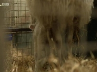Countryfile S32E14 INTERNAL 480p x264-mSD [eztv]