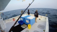 Wicked Tuna S10E16 1080p HEVC x265-MeGusta EZTV