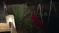 Police Interceptors S18E10 XviD-AFG EZTV
