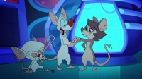 Animaniacs 2020 S01E08 XviD-AFG EZTV