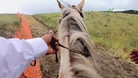 Breaking Wild S01E08 XviD-AFG EZTV Breaking Wild S01E08 XviD-AFG EZTV