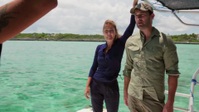 Expedition X S05E07 1080p HEVC x265-MeGusta EZTV