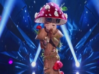 The Masked Singer S04E13 480p x264-mSD EZTV The Masked Singer S04E13 480p x264-mSD EZTV