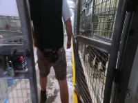 Inside Taronga Zoo S01E09 480p x264-mSD EZTV Inside Taronga Zoo S01E09 480p x264-mSD EZTV