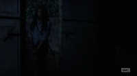 The Walking Dead S09E07 XviD-AFG [eztv]