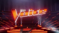 The Voice S21E02 XviD-AFG EZTV The Voice S21E02 XviD-AFG EZTV