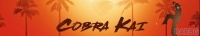 Cobra Kai S02 WEBRip x264-ION10