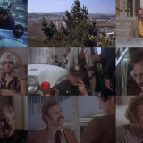 The Laughing Policeman 1973 1080p BluRay x264-RedBlade