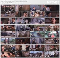 The Anonymous Heroes [1971]x264DVDrip(ShawBros)